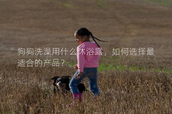 狗狗洗澡用什么沐浴露，如何選擇最適合的產(chǎn)品？