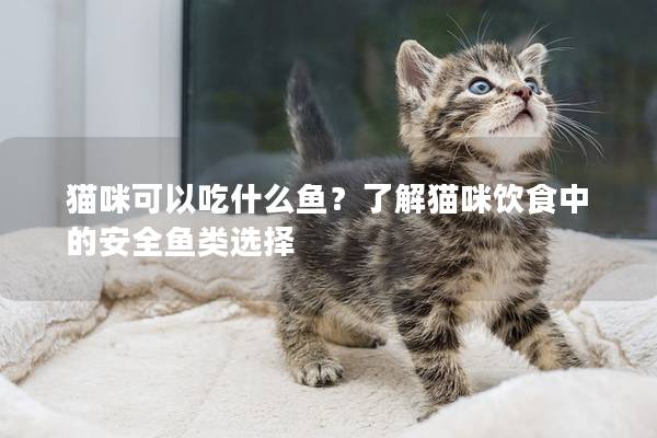 貓咪可以吃什么魚？了解貓咪飲食中的安全魚類選擇