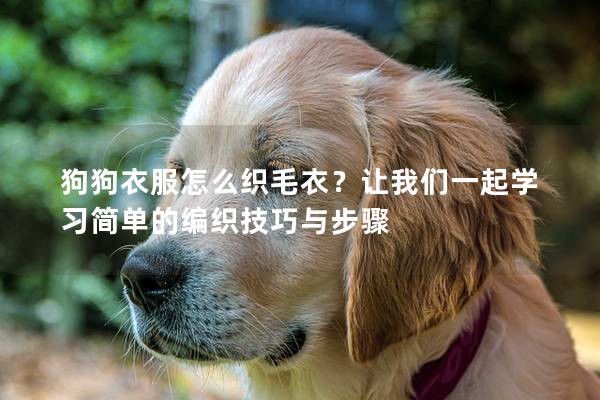 狗狗衣服怎么織毛衣？讓我們一起學習簡單的編織技巧與步驟