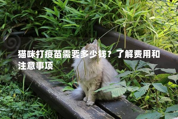 貓咪打疫苗需要多少錢？了解費(fèi)用和注意事項