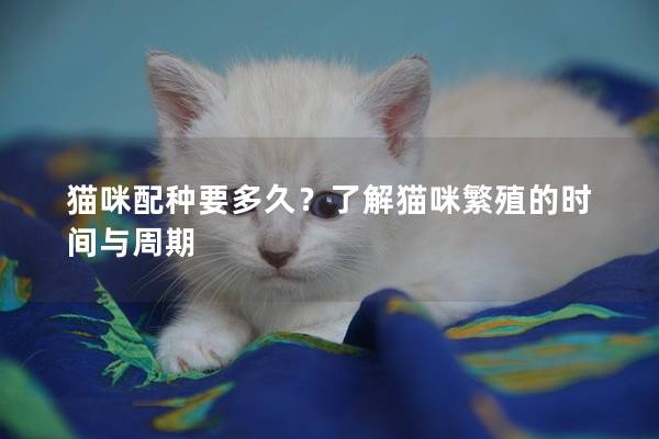 貓咪配種要多久？了解貓咪繁殖的時間與周期