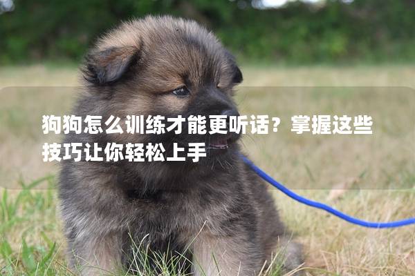 狗狗怎么訓練才能更聽話？掌握這些技巧讓你輕松上手