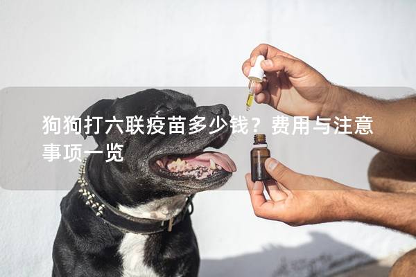 狗狗打六聯疫苗多少錢？費用與注意事項一覽