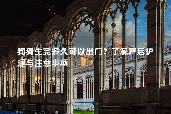 狗狗生完多久可以出門？了解產(chǎn)后護(hù)理與注意事項(xiàng)