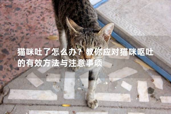 貓咪吐了怎么辦？教你應對貓咪嘔吐的有效方法與注意事項