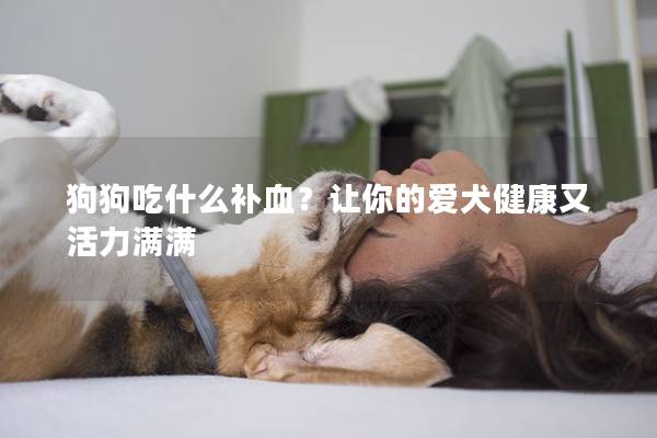 狗狗吃什么補血？讓你的愛犬健康又活力滿滿