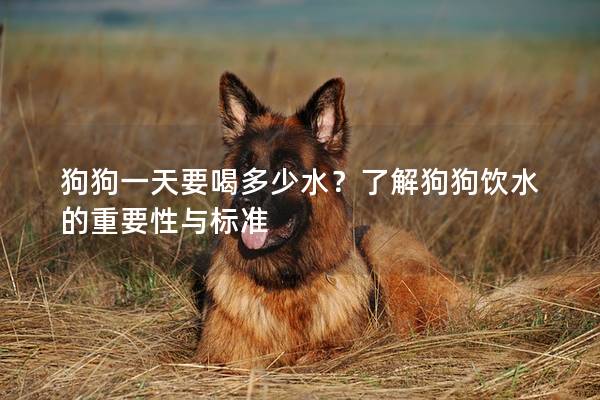 狗狗一天要喝多少水？了解狗狗飲水的重要性與標準