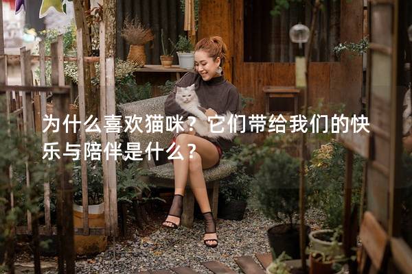 為什么喜歡貓咪？它們帶給我們的快樂與陪伴是什么？