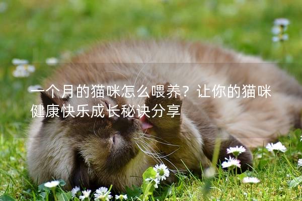 一個(gè)月的貓咪怎么喂養(yǎng)?讓你的貓咪健康快樂成長秘訣分享 一個(gè)月的貓咪怎么喂養(yǎng)?讓你的貓咪健康快樂成長秘訣分享