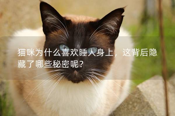 貓咪為什么喜歡睡人身上，這背后隱藏了哪些秘密呢？