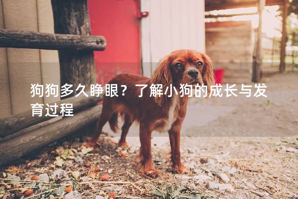 狗狗多久睜眼？了解小狗的成長與發育過程