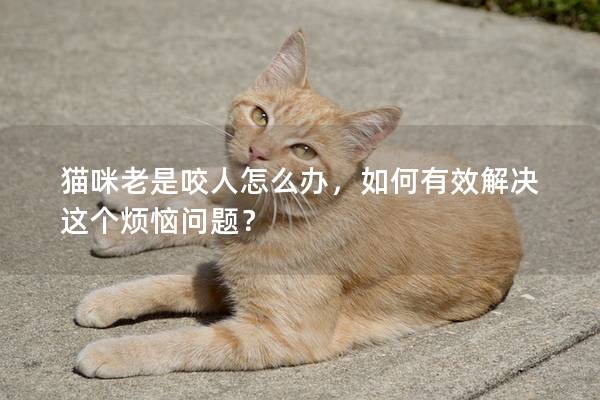 貓咪老是咬人怎么辦，如何有效解決這個煩惱問題？