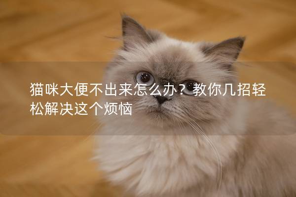 貓咪大便不出來怎么辦？教你幾招輕松解決這個煩惱