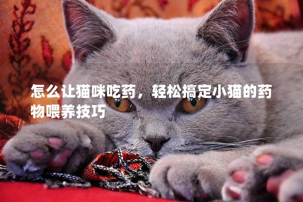 怎么讓貓咪吃藥，輕松搞定小貓的藥物喂養(yǎng)技巧