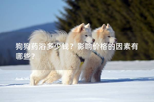 狗狗藥浴多少錢？影響價格的因素有哪些？