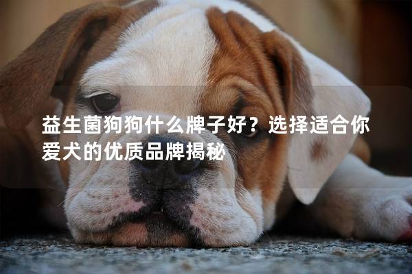 益生菌狗狗什么牌子好？選擇適合你愛(ài)犬的優(yōu)質(zhì)品牌揭秘