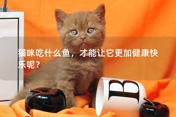 貓咪吃什么魚，才能讓它更加健康快樂呢？