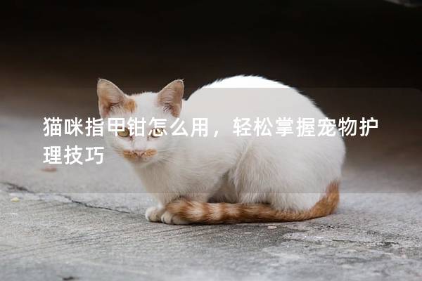 貓咪指甲鉗怎么用，輕松掌握寵物護理技巧