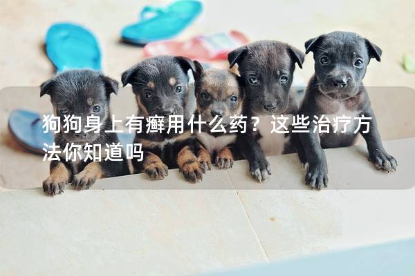 狗狗身上有癬用什么藥？這些治療方法你知道嗎
