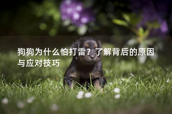 狗狗為什么怕打雷？了解背后的原因與應(yīng)對(duì)技巧