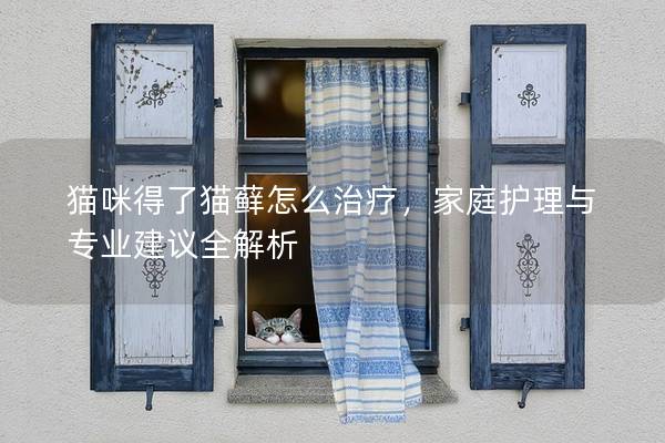 貓咪得了貓蘚怎么治療，家庭護理與專業建議全解析