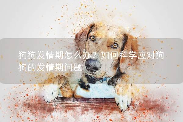 狗狗發情期怎么辦？如何科學應對狗狗的發情期問題