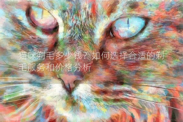 貓咪剃毛多少錢？如何選擇合適的剃毛服務和價格分析