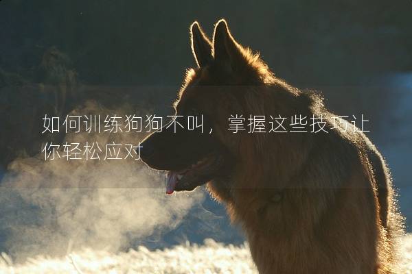 如何訓(xùn)練狗狗不叫,掌握這些技巧讓你輕松應(yīng)對(duì) 如何訓(xùn)練狗狗不叫,掌握這些技巧讓你輕松應(yīng)對(duì)