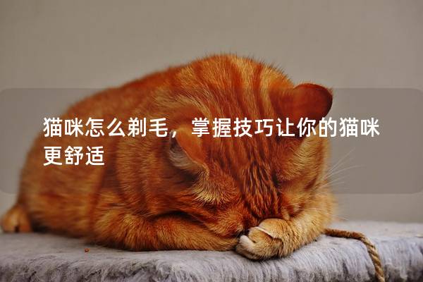 貓咪怎么剃毛，掌握技巧讓你的貓咪更舒適