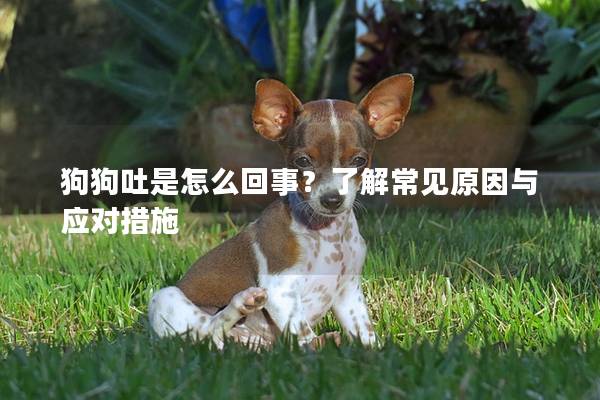 狗狗吐是怎么回事？了解常見原因與應(yīng)對措施