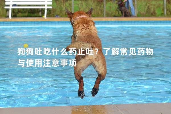 狗狗吐吃什么藥止吐？了解常見藥物與使用注意事項(xiàng)