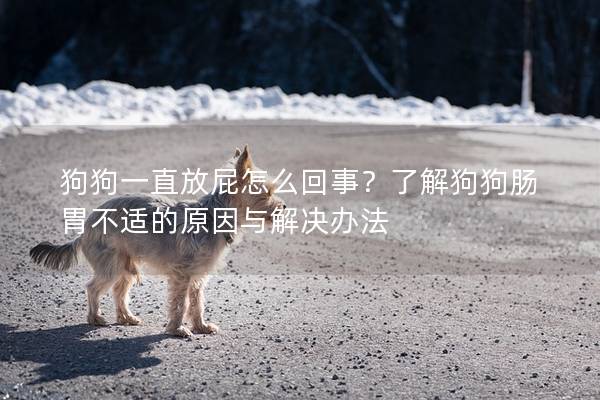 狗狗一直放屁怎么回事？了解狗狗腸胃不適的原因與解決辦法