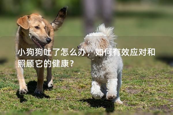 小狗狗吐了怎么辦，如何有效應(yīng)對(duì)和照顧它的健康？