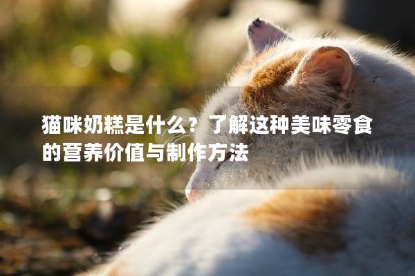 貓咪奶糕是什么？了解這種美味零食的營養(yǎng)價值與制作方法