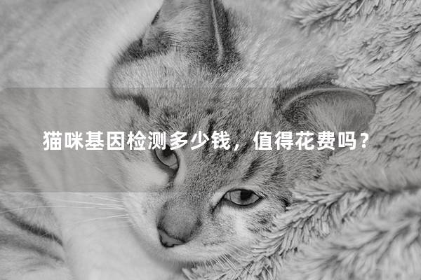 貓咪基因檢測多少錢，值得花費嗎？
