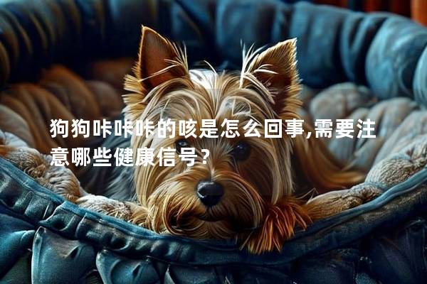 狗狗咔咔咔的咳是怎么回事,需要注意哪些健康信號(hào)？