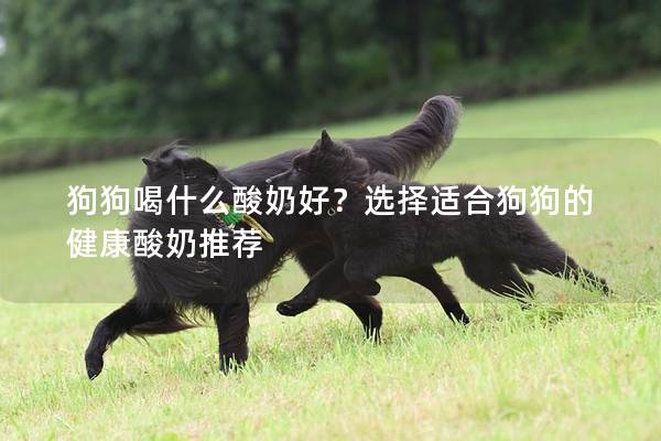 狗狗喝什么酸奶好?選擇適合狗狗的健康酸奶推薦 狗狗喝什么酸奶好?選擇適合狗狗的健康酸奶推薦
