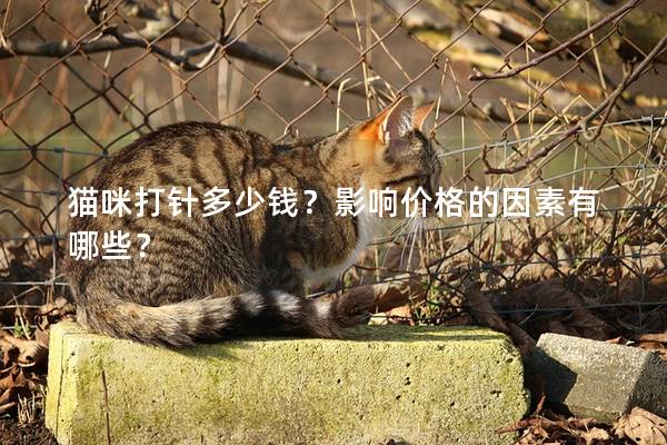 貓咪打針多少錢？影響價格的因素有哪些？
