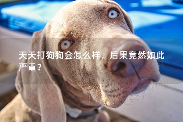 天天打狗狗會怎么樣，后果竟然如此嚴重？