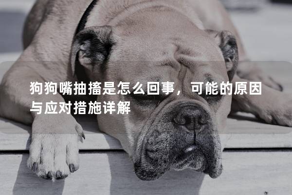 狗狗嘴抽搐是怎么回事，可能的原因與應對措施詳解