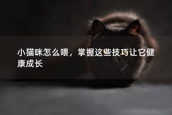 小貓咪怎么喂,掌握這些技巧讓它健康成長 小貓咪怎么喂,掌握這些技巧讓它健康成長