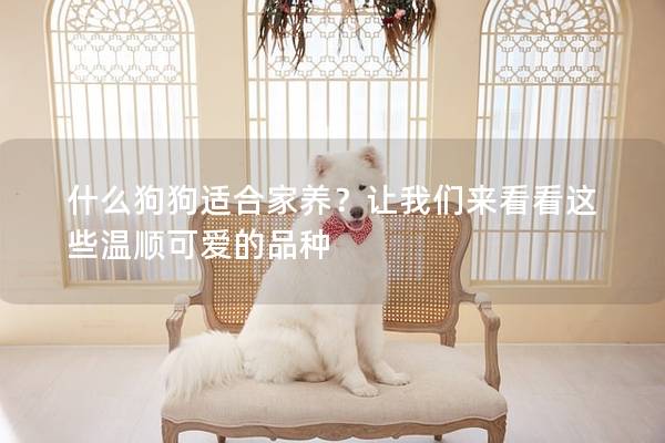 什么狗狗適合家養(yǎng)？讓我們來(lái)看看這些溫順可愛的品種