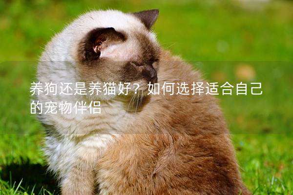 養狗還是養貓好？如何選擇適合自己的寵物伴侶
