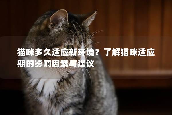 貓咪多久適應(yīng)新環(huán)境？了解貓咪適應(yīng)期的影響因素與建議