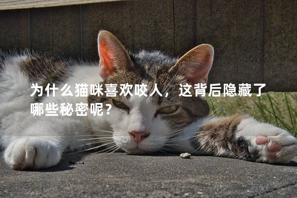 為什么貓咪喜歡咬人，這背后隱藏了哪些秘密呢？