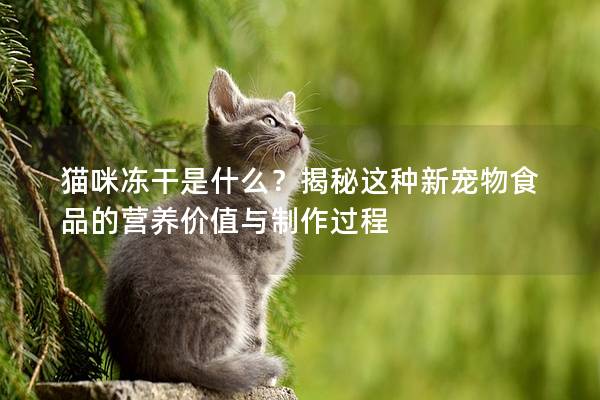 貓咪凍干是什么？揭秘這種新寵物食品的營養(yǎng)價值與制作過程