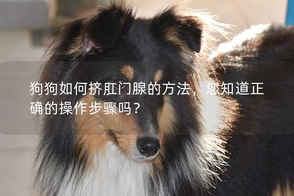 狗狗如何擠肛門腺的方法，您知道正確的操作步驟嗎？