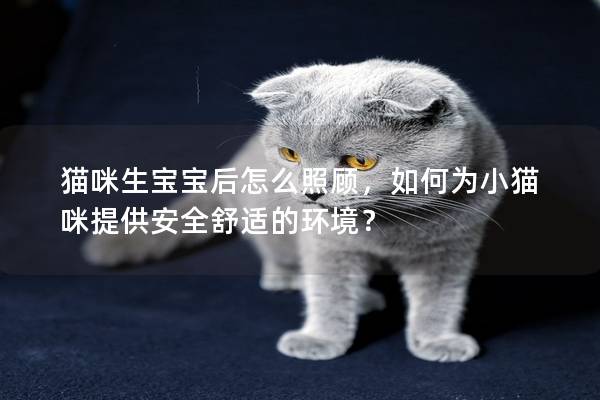 貓咪生寶寶后怎么照顧，如何為小貓咪提供安全舒適的環(huán)境？