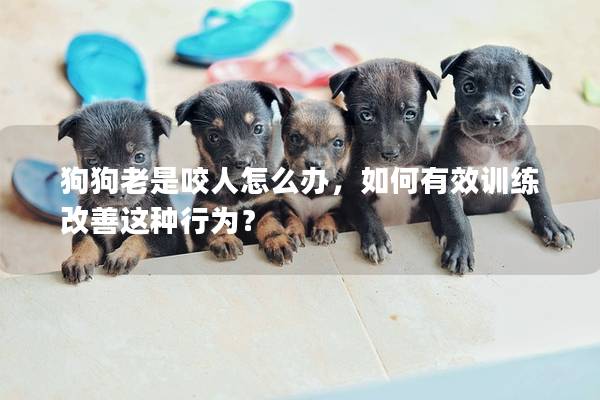 狗狗老是咬人怎么辦，如何有效訓練改善這種行為？