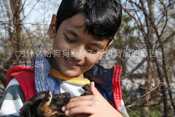 為什么給狗狗斷尾？探討背后的原因與影響